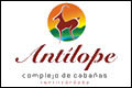 antilope