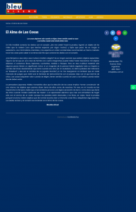 Bleu Diseño